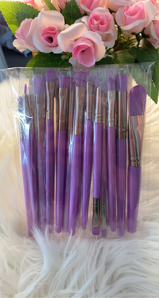 Lot de 20 pinceaux violet